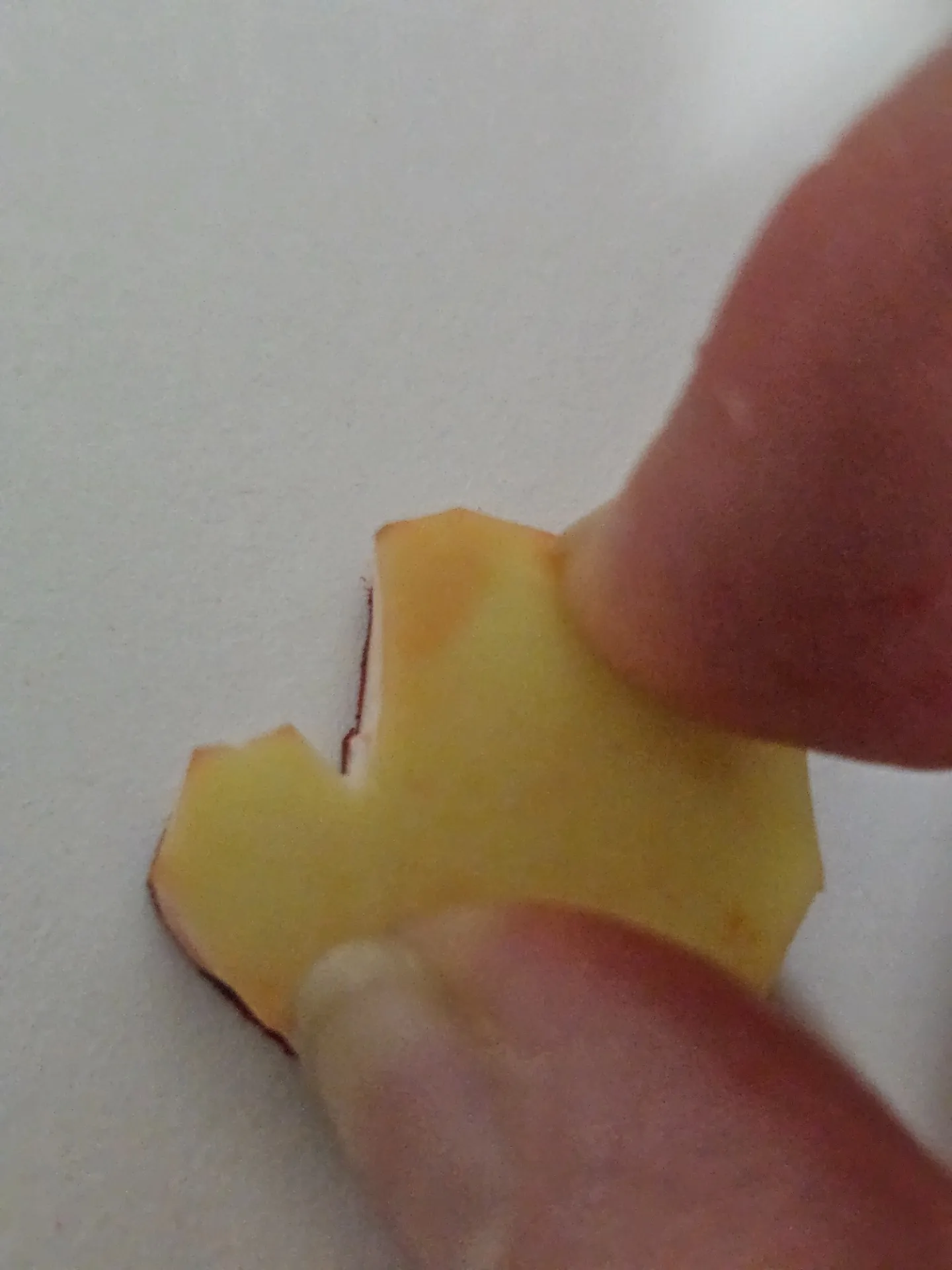 【審神者のこだわり】